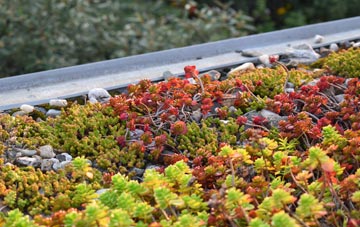the cost of Risabus green roof installation