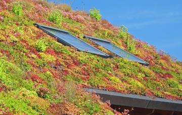 Risabus living roof systems