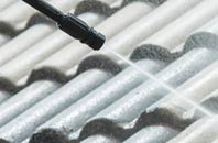 rated Risabus roof cleaning companies